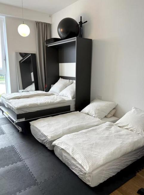 Apartamento Rheinblick Penthouse