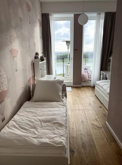 Rheinblick Penthouse Apartment